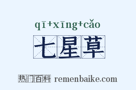 七星草是什么意思的图片